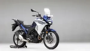 Kawasaki Versys-X 300
